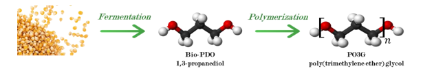 Polymerization of PDO to PO3G